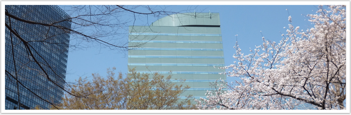 ISSI_Building